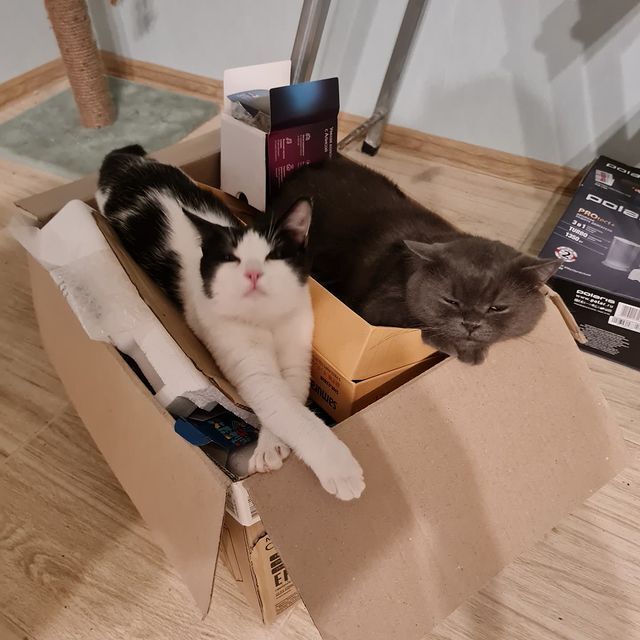 Налей ещё вина, мой венценосный брат!