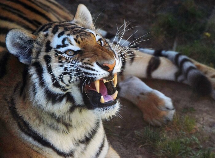 Я тебе тоже улыбнусь