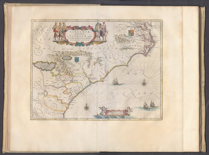 Вирджиния и Флорида