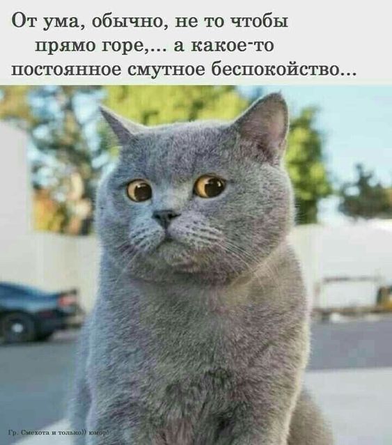 Причина тревожности | Пикабу