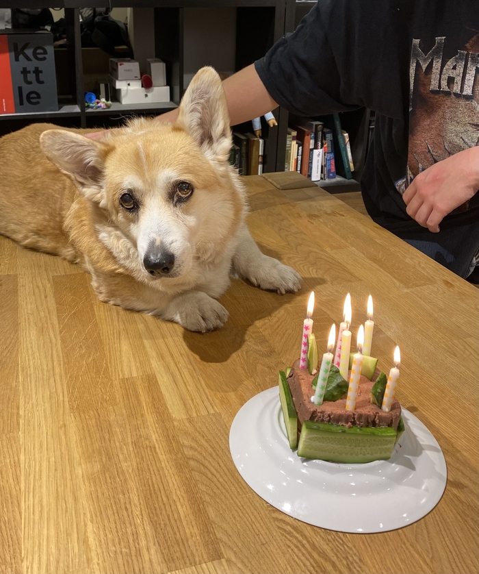 Четырнадцать лет!