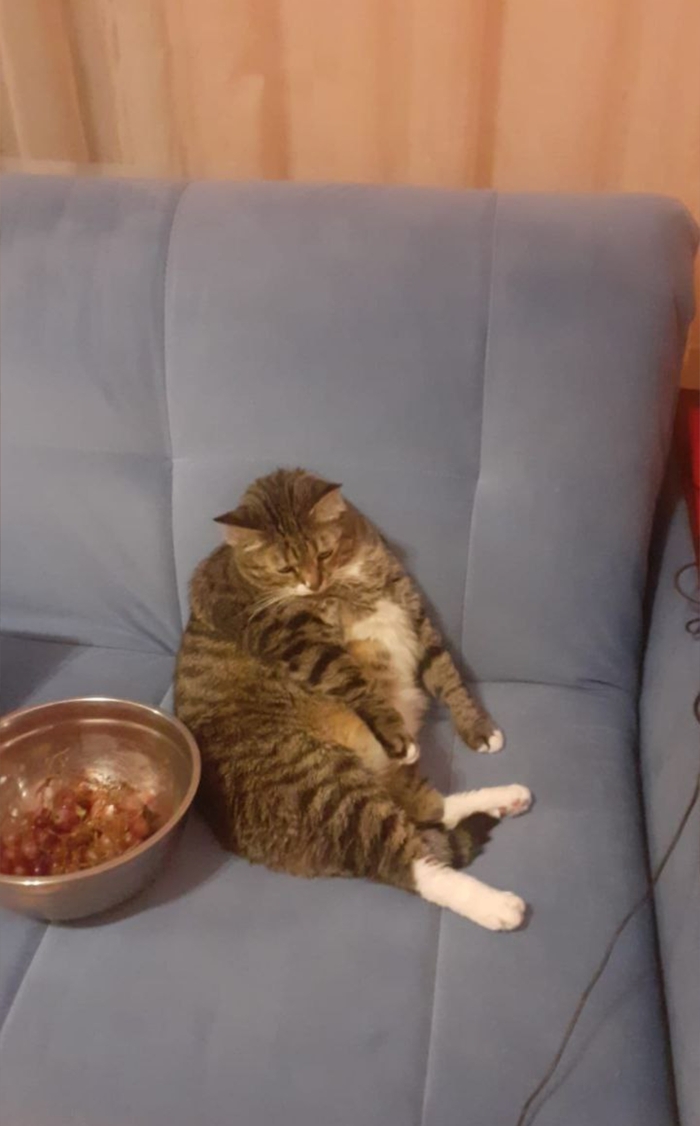 ������� ����� ������