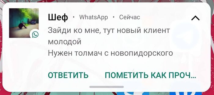  , , , , WhatsApp