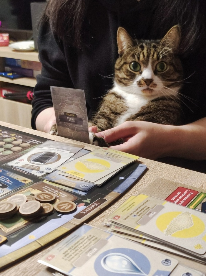 Настольная игра Distilled. Как сварить вишневую водку и виски с ароматом сутулой псины Стратегия, Настольные игры, Хобби, Длиннопост, Алкоголь, Игры