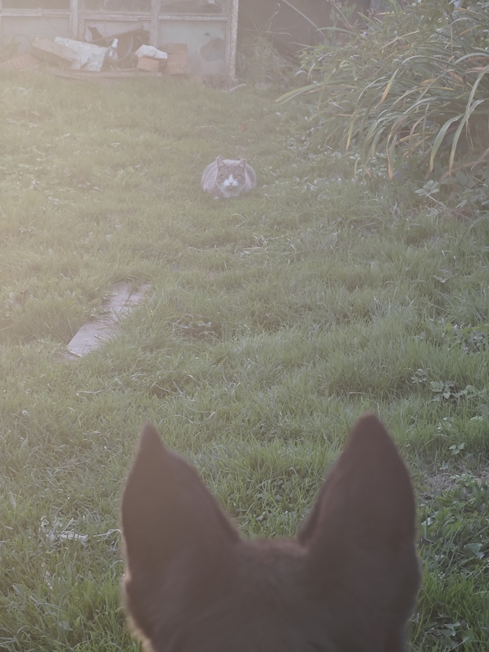 ����� � �����