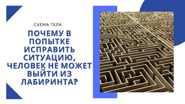 Почему в попытке исправить ситуацию, человек не может выйти из лабиринта? Схема тела
