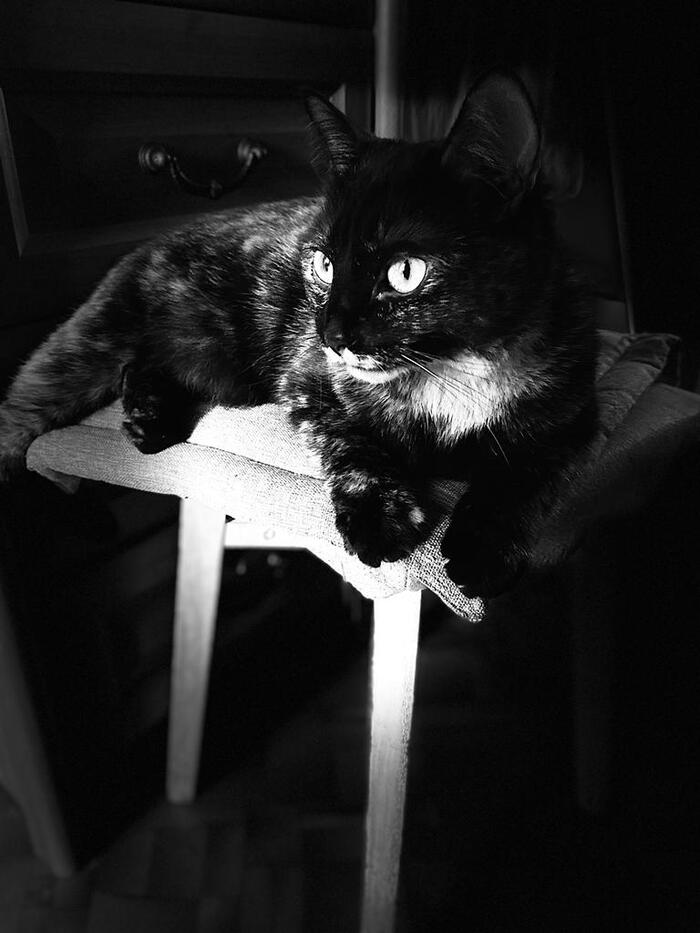 Моя принцесса