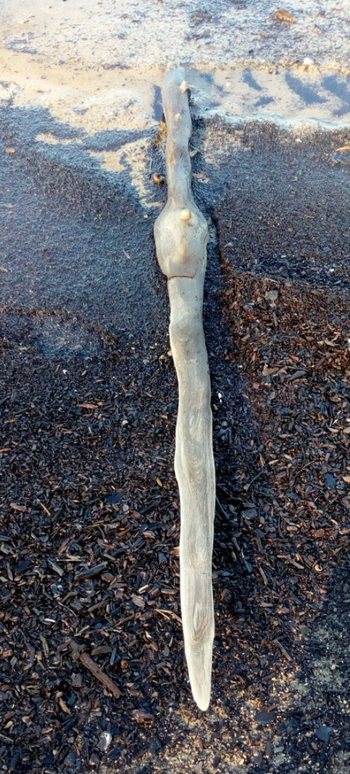 Ответ на пост «Мечта каждого мужика»