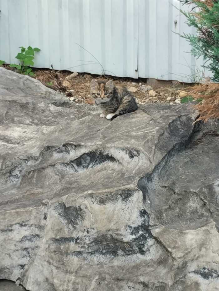 ��������� ������ (�������) �� ��� ������ 3-4, ���� ������� ���. 
�������� � �������� - �������� �� �����, ��������� ���������. ������ ������ ������, ���������!