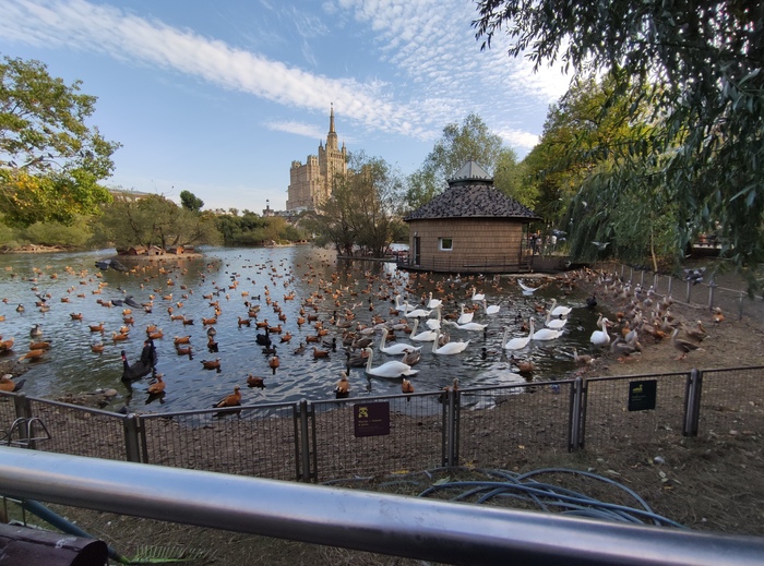 ����� �����