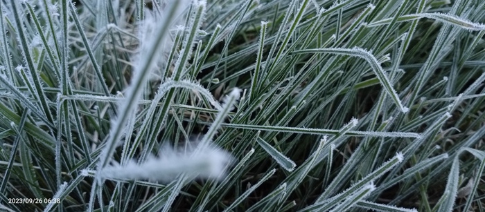 С фокусом что-то пошло не так)