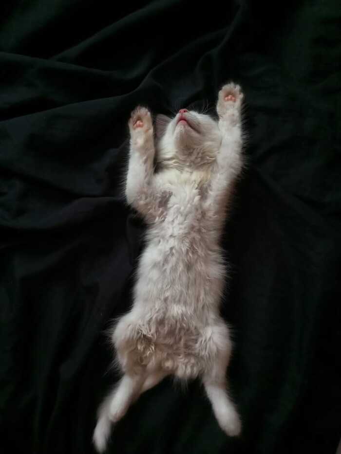 Хм.. а здесь и правда заметно)