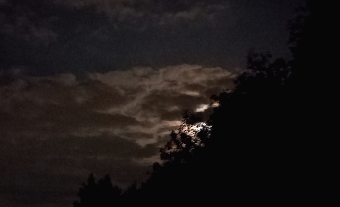 ����! ����! �������� ������ � ���� ���������!"