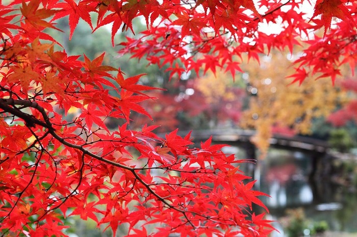 ����� � ������