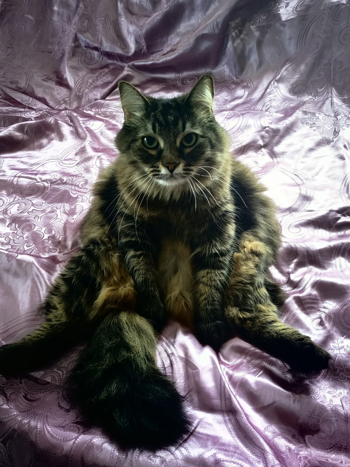 ���� ���� �� �����