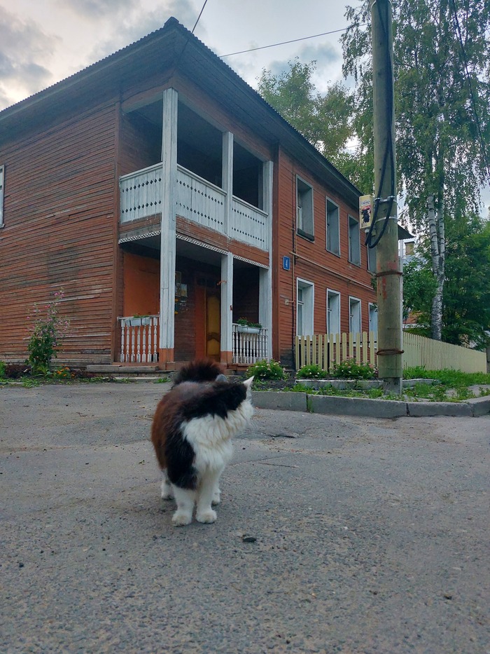 ����� �� ���� ������������� ������