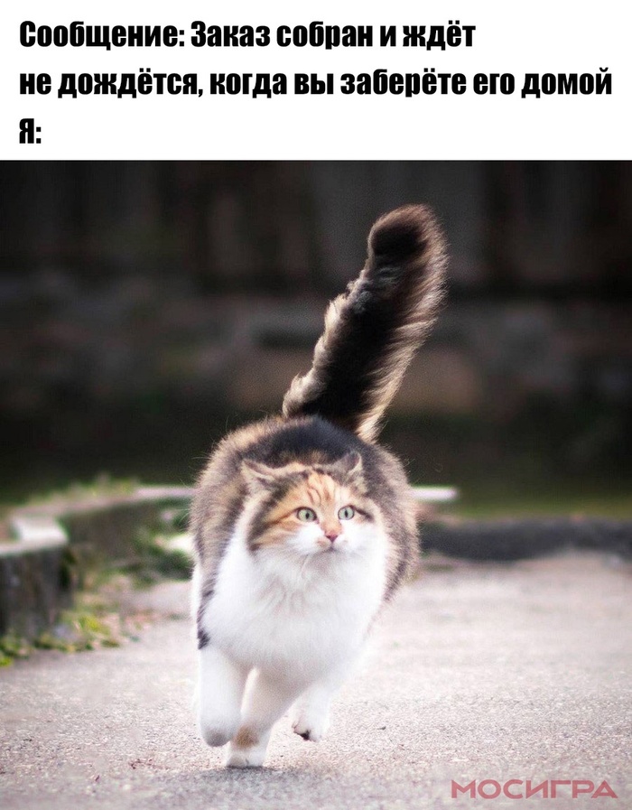    ? ,  , ,   , , 