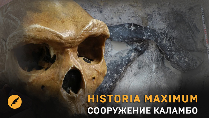476     120    Homo Sapiens    ,  (),  , ,  , 