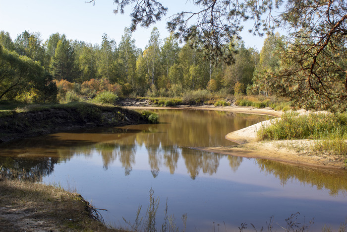 Река Пра в конце сентября Природа, Река, Лес, Длиннопост, Фотография