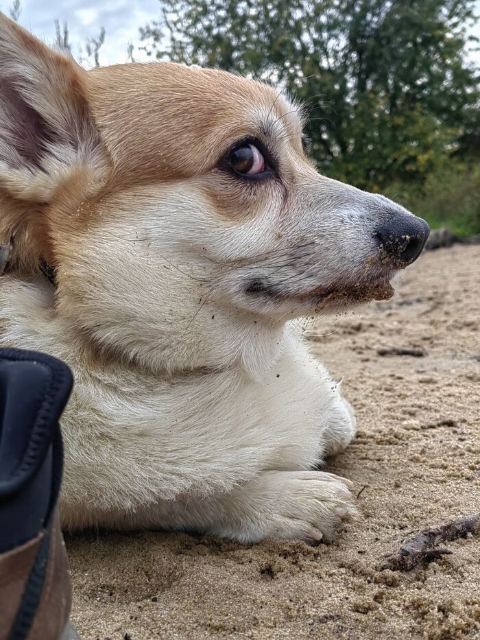 �������� ���-��? � �� �� �����������?!