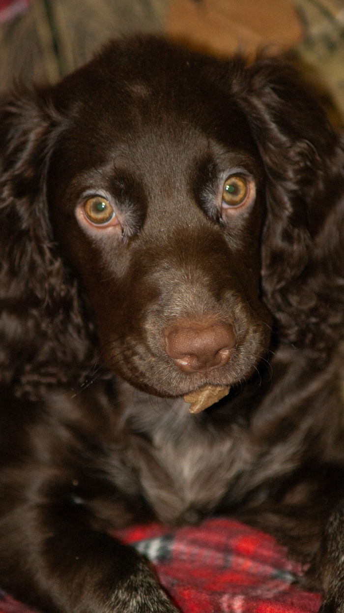 Взгляд на миллион