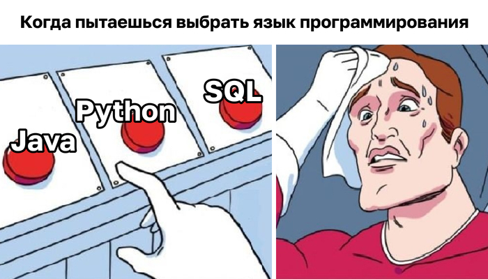    Java, SQL  Python,     IT, Python, , , -, , ,  