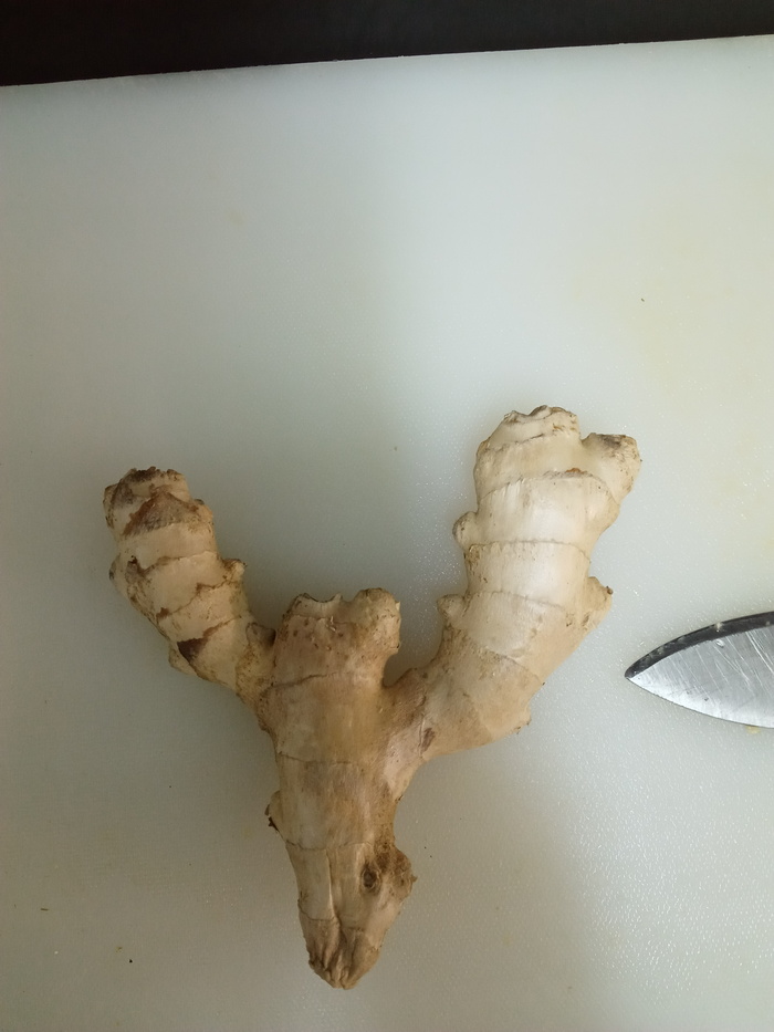 Или мне в отпуск пора?