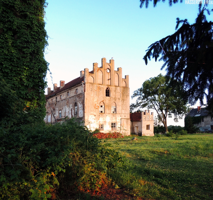    (  2022 )  /  / Insterburg