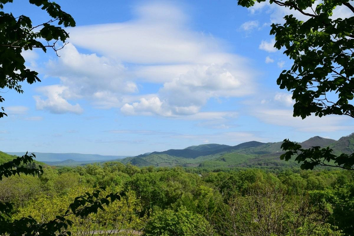Уссурийский заповедник