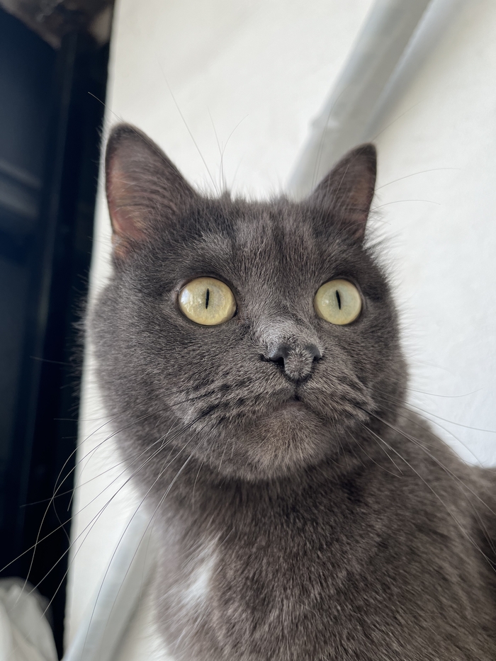 Зрачки будут доступны в DLC