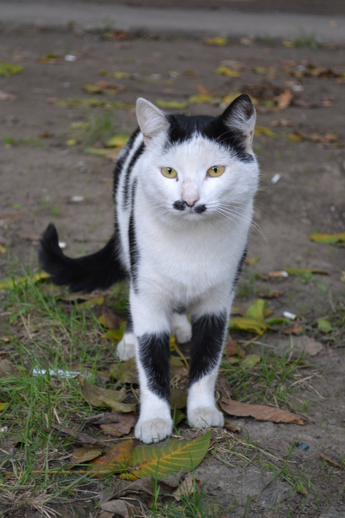 �������