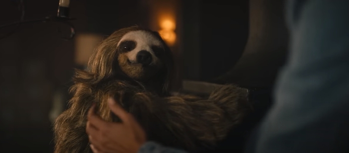 Милый ленивец))