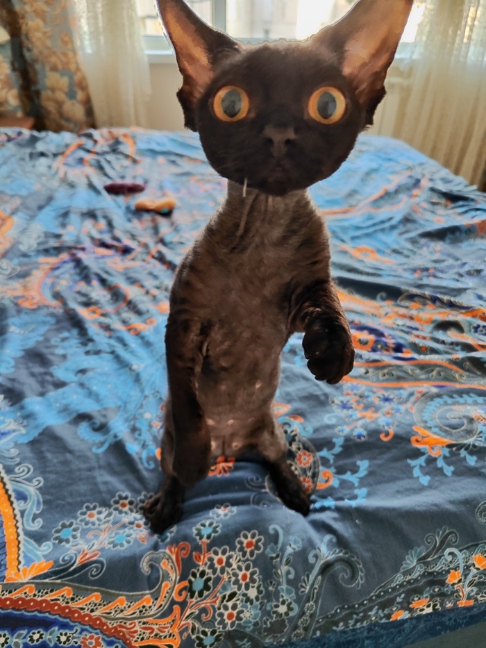 А что там у тебя?