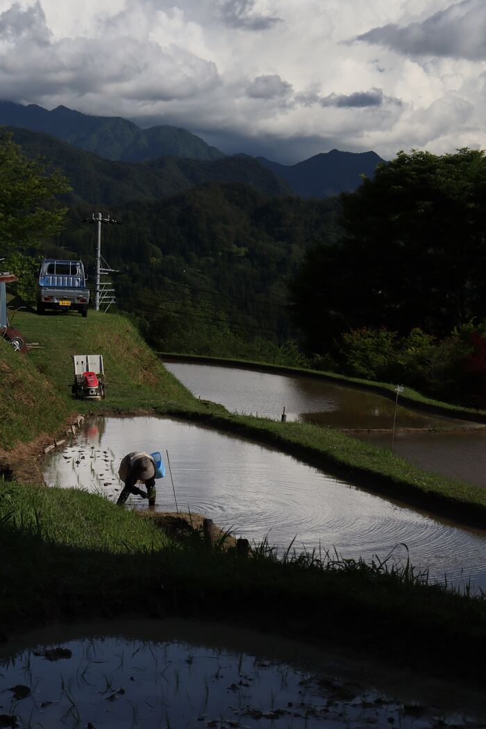 Рисовая ферма. Село Ясуока, Нагано Япония, Ферма, Нагано, Горы, Фотография