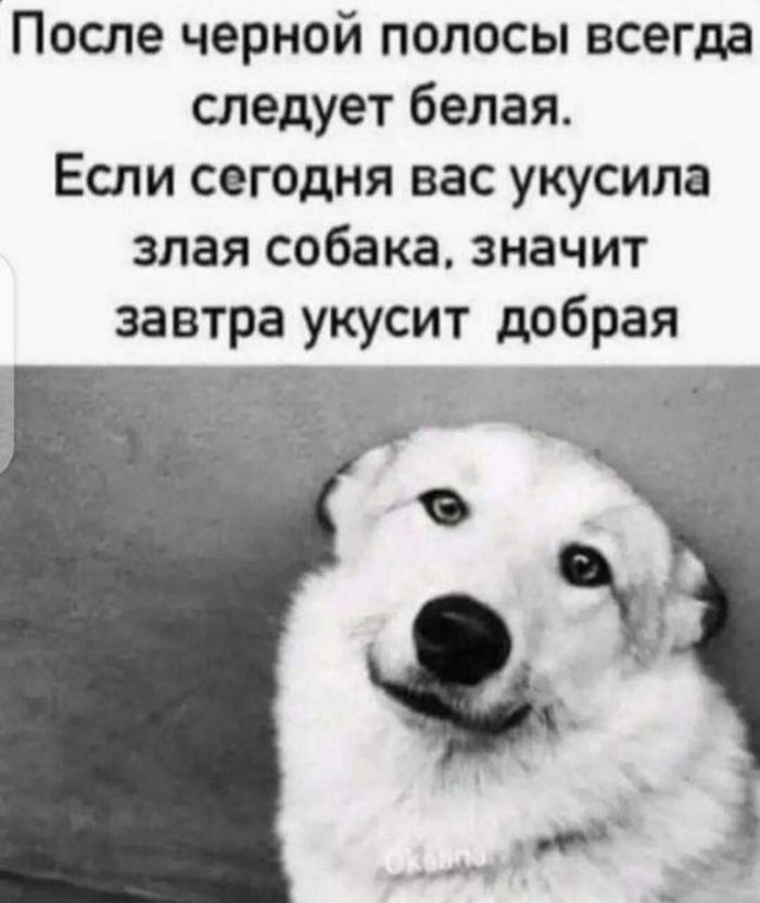     , , 