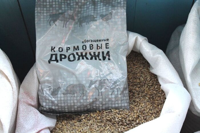 ����� ������ ���. �� ������� �� ������-�����