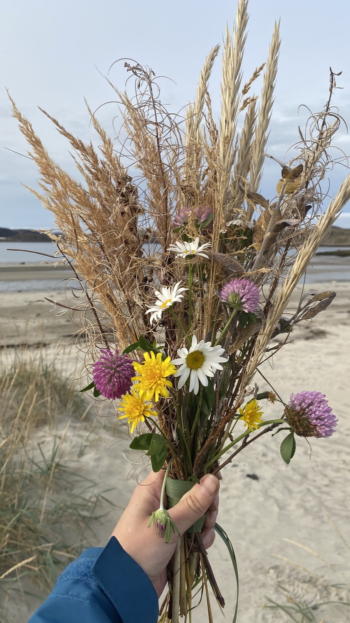 Собрала вчера осенний букетик, очень не свойственный для крайнего Севера в эту пору)