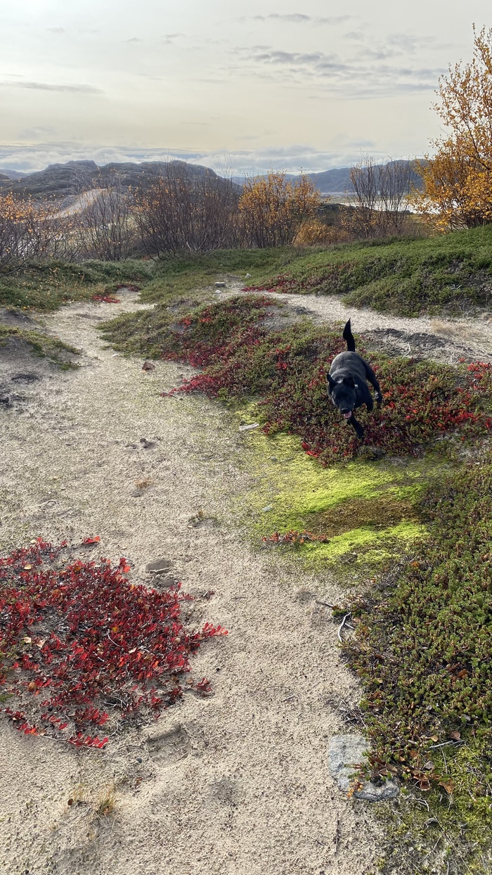 Юна Авоськовна выпускает пар