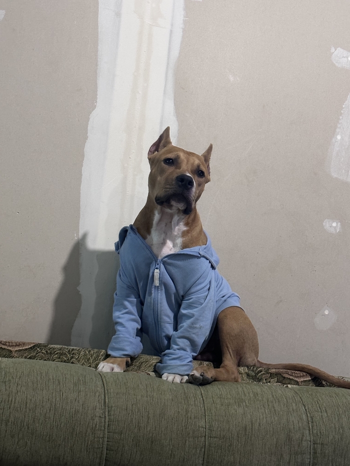 ����� Afanasiev09 � ������� ��������