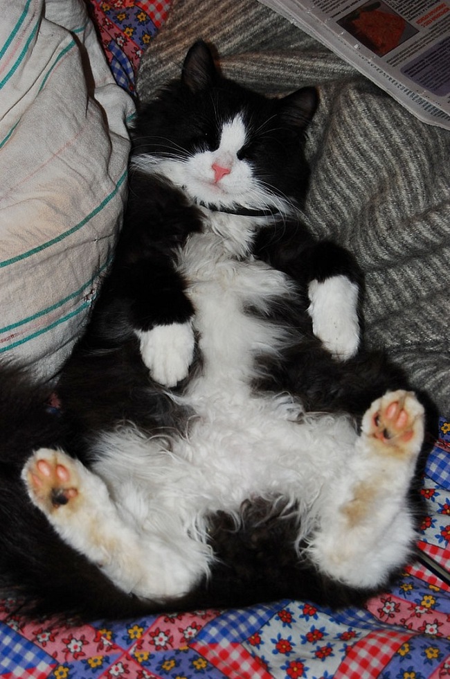 Таити-Таити.. Не были мы ни на каких Тати! Нас и тут неплохо кормят!