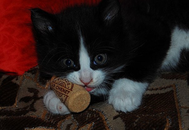 Любовь к роскоши проявлялась с младенчества :)