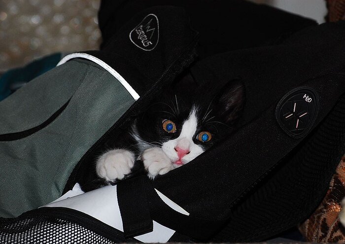 Чего хотел?! Занято!!!