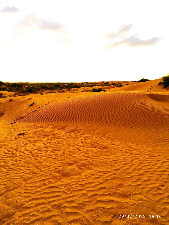       &#x192;/1,8 1/13636 4,68  ISO 1600   )))