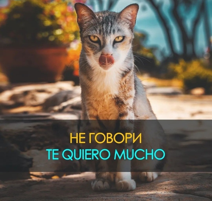 Как сказать по испански: "я очень тебя люблю"?