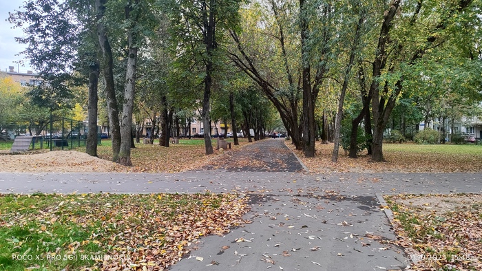 ����� ����������� � ��������