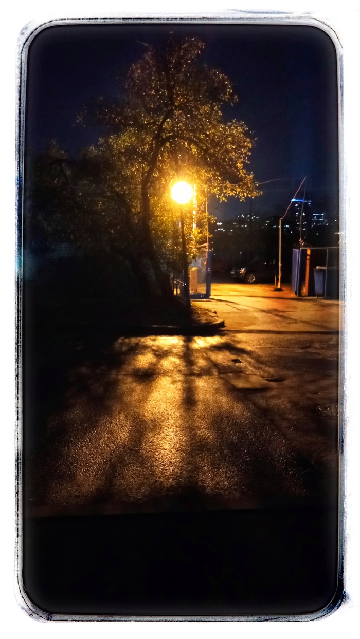 ������ ����