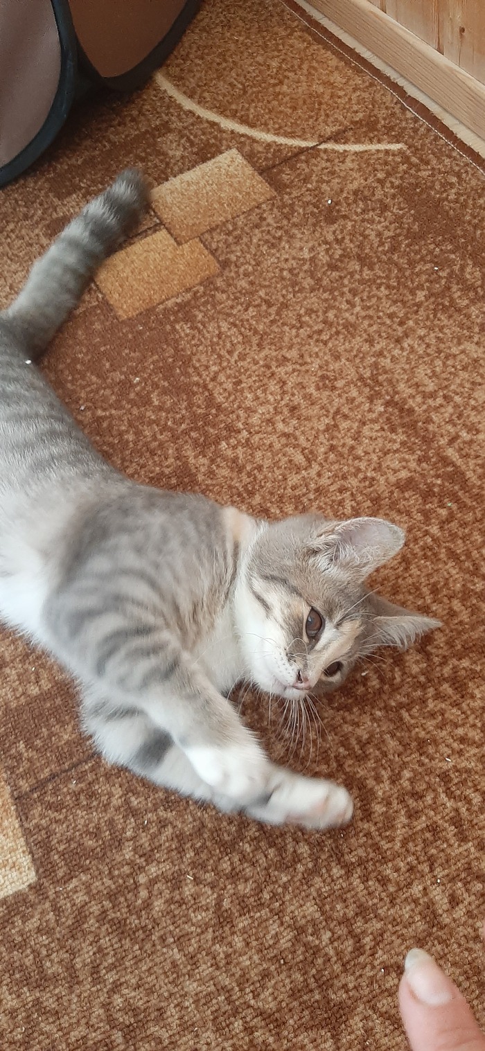 ������������ ������!���� ������ ���,����� ���������!
����� ����� ��� �����������-����� 5 �������,�������� � �����,��������� ����������,���������� �� ������� � ����,��������� �� ��� ������� ��������-��� ��. ������ � ������:89109170627.������.