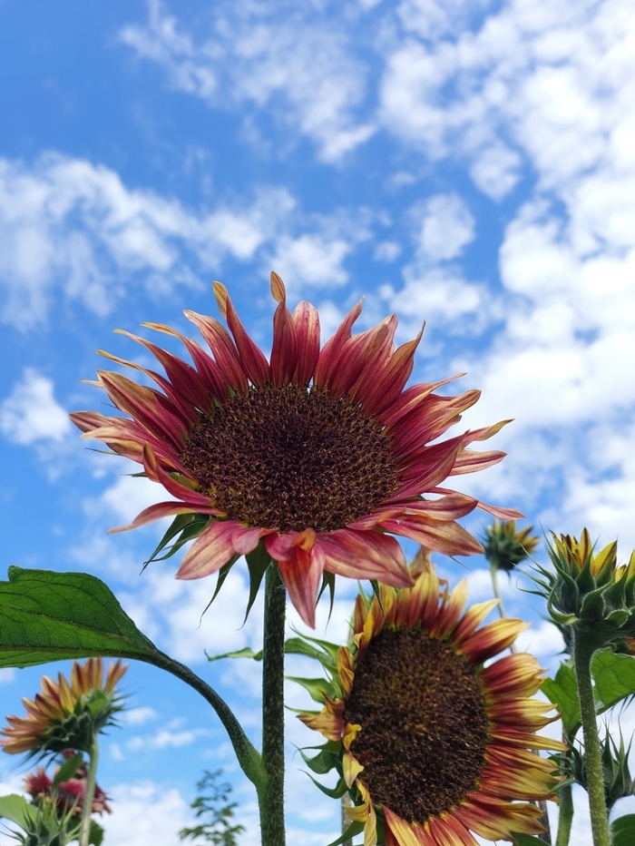 Осень прекрасна