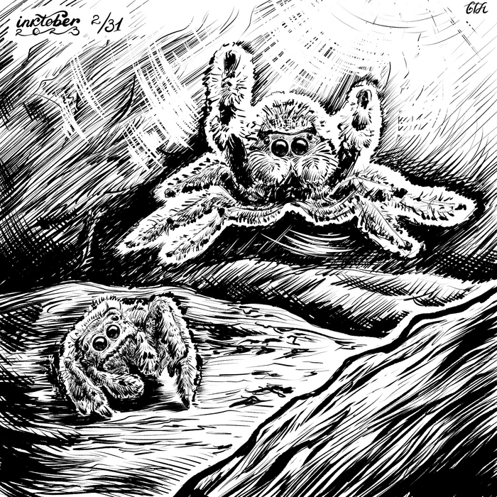 Spiders |  inktober2023 Inktober, Spiders, ,  , Clip Studio Paint
