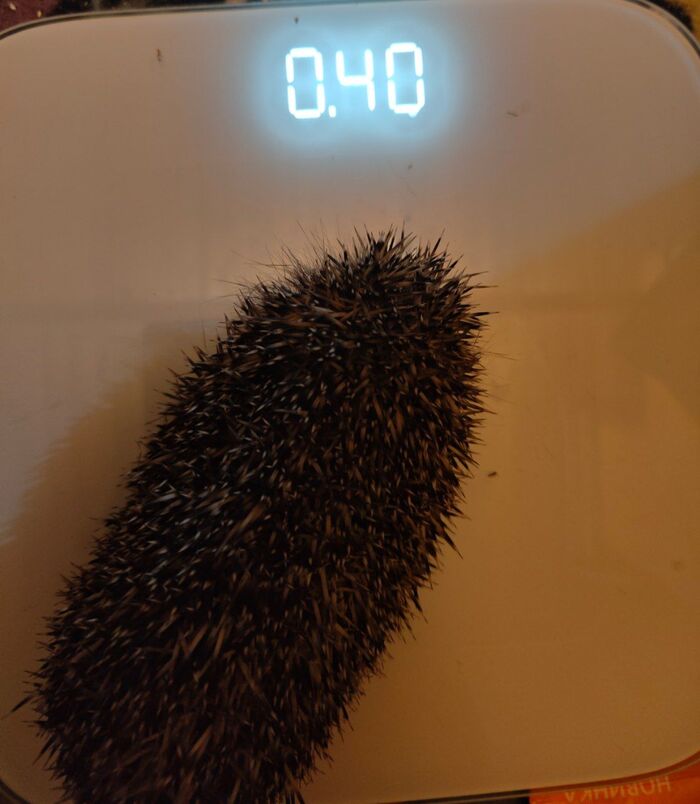 ������ �� ��� ������ ������, ���� � ��������� �����